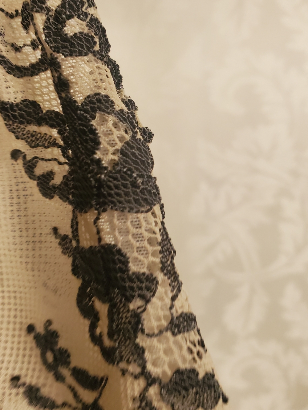 Free People Black Lace Overlay Racerback Bralette on Cream - Picture 5 of 6